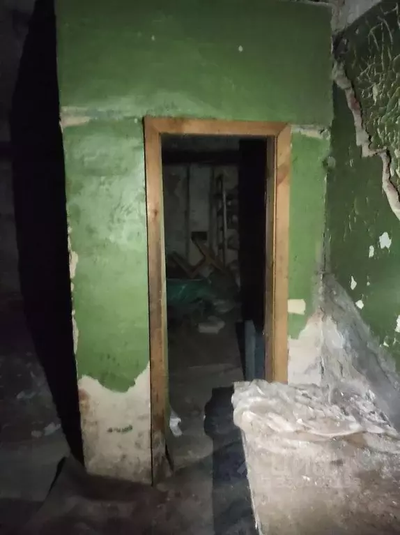 Помещение свободного назначения в Челябинская область, Златоуст ул. ... - Фото 1