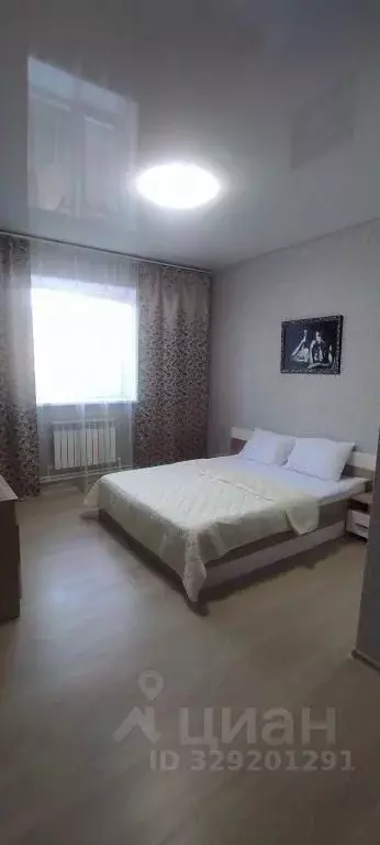 Комната Курганская область, Шадринск Октябрьская ул., 113 (10.0 м) - Фото 2