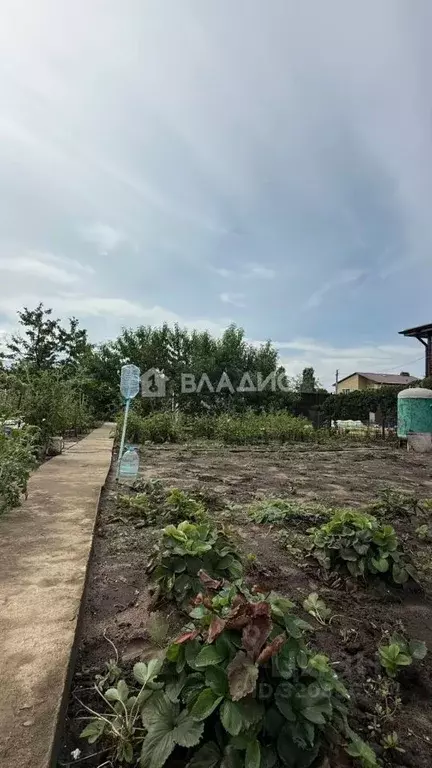 Участок в Воронежская область, Воронеж Придонье СНТ, 106 (6.21 сот.) - Фото 1
