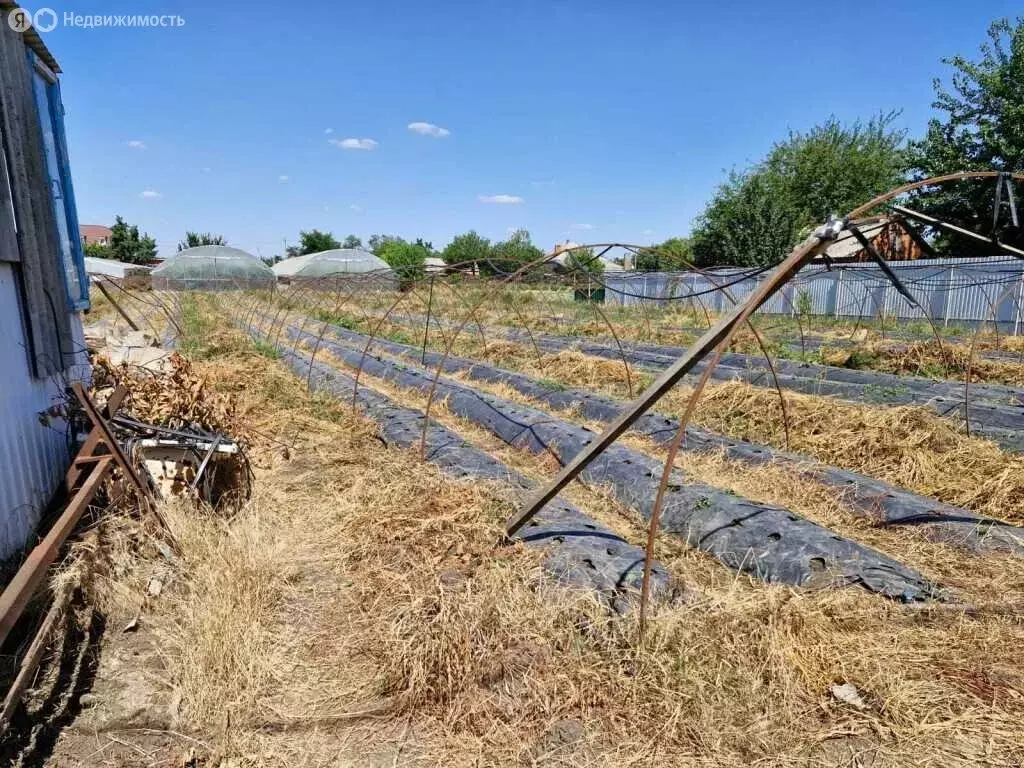 Участок в станица Платнировская, улица Карла Маркса, 120 (23.23 м) - Фото 2