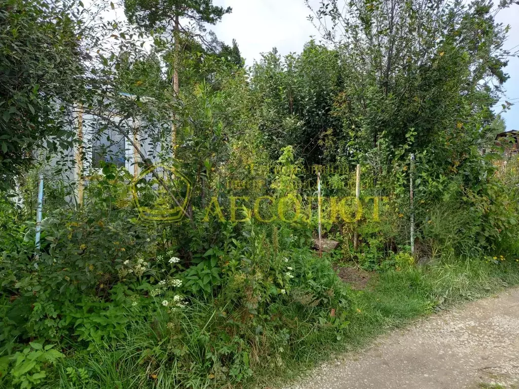 Дом в Свердловская область, Дегтярск № 3 КС, 15 (10 м) - Фото 1