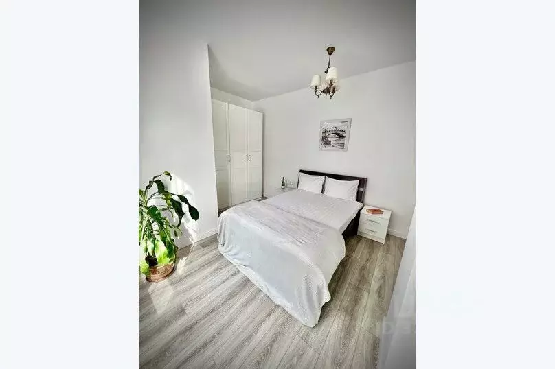 1-к кв. Краснодарский край, Сочи ул. Удачи, 14 (45.0 м) - Фото 1