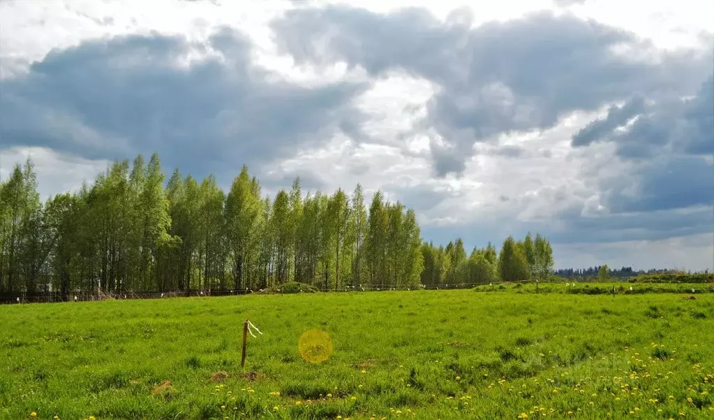 Участок в Ленинградская область, Всеволожский район, Агалатовское ... - Фото 1