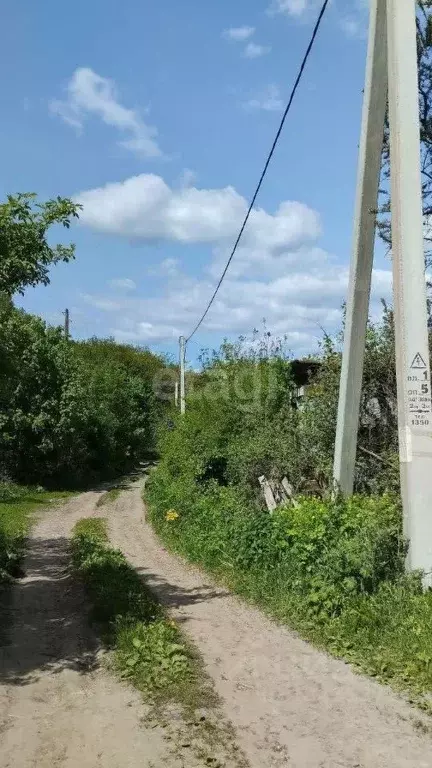 Участок в Белгородская область, Белгородский район, Северный городское ... - Фото 1