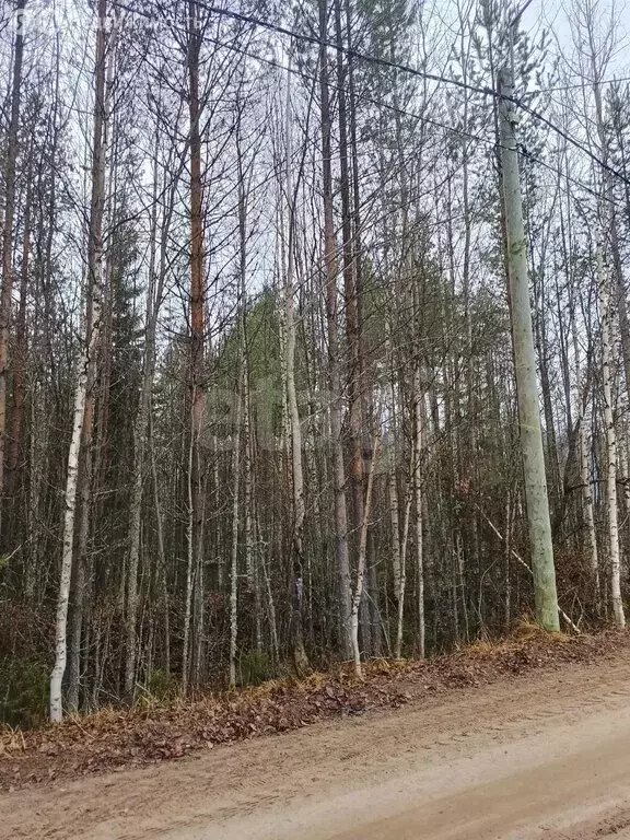 Участок в посёлок городского типа Верхняя Максаковка, 1-я Белоборская ... - Фото 2