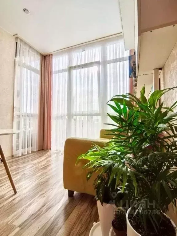 Студия Краснодарский край, Сочи ул. Тимирязева, 52/2 (23.0 м) - Фото 1