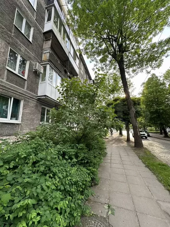 1-к. квартира, 30 м, 3/5 эт. - Фото 0
