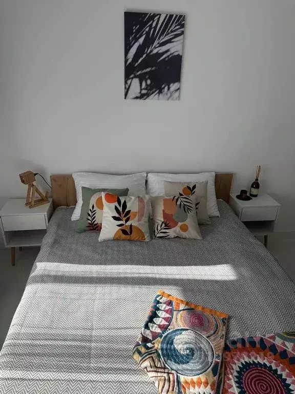 Студия Санкт-Петербург Пулковское ш., 95к3 (23.0 м) - Фото 1