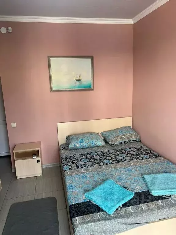 Комната Крым, Сакский район, Штормовское с/пос, с. Поповка ул. Мира, 3 - Фото 1