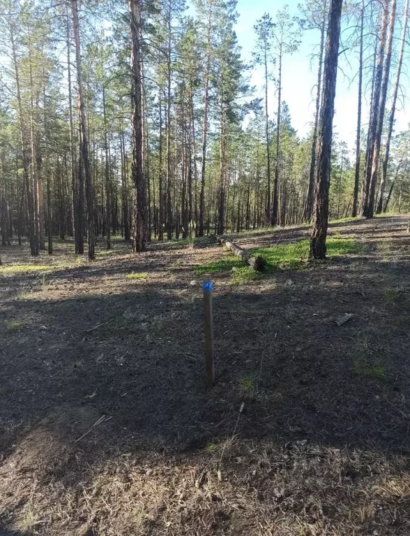 Участок в Саха (Якутия), Мегино-Кангаласский улус, Нижний Бестях пгт ... - Фото 1
