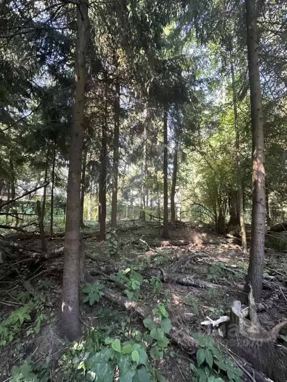 участок в московская область, люберцы городской округ, д. торбеево, . - Фото 0