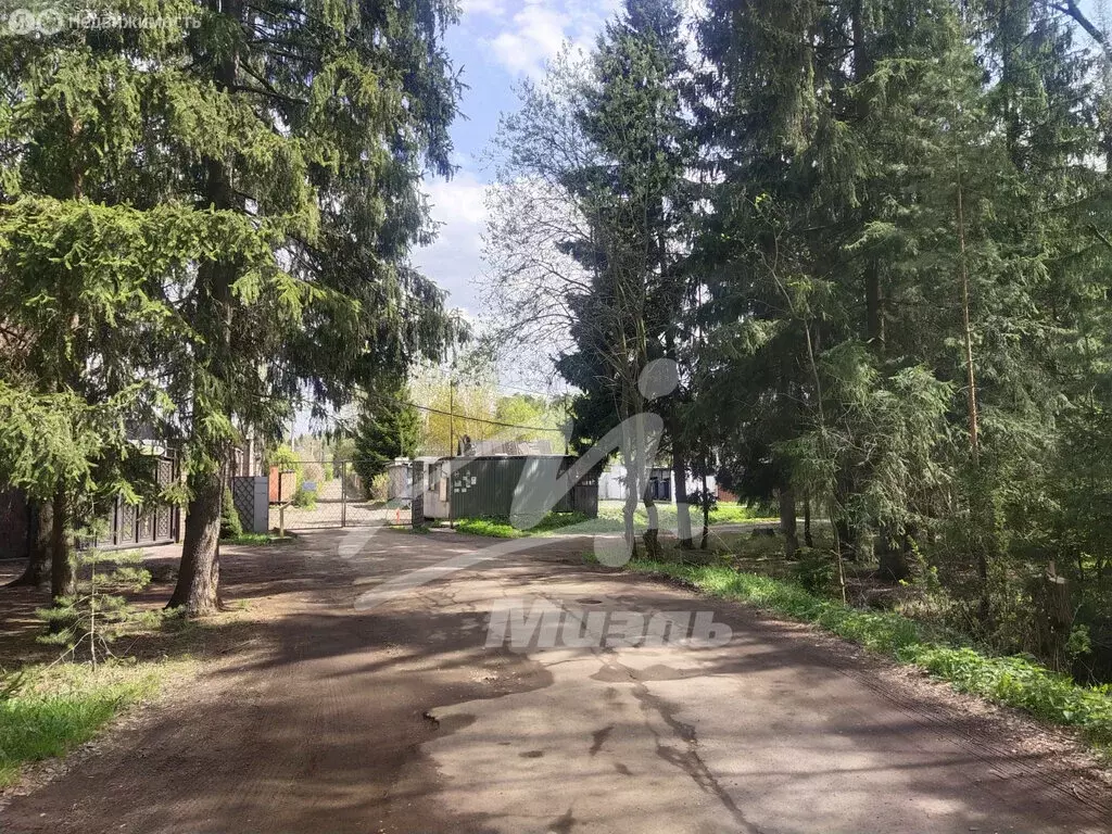 Участок в Богородский городской округ, СНТ Богатырь (6 м) - Фото 0