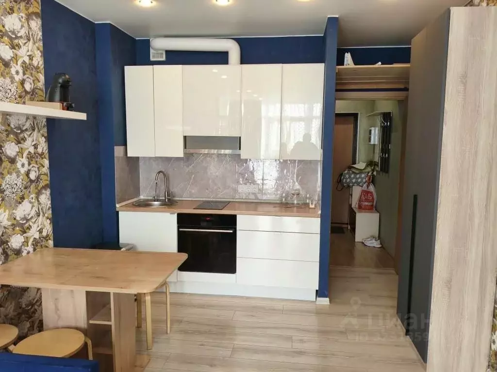 Студия Санкт-Петербург ул. Адмирала Трибуца, 7 (28.5 м) - Фото 1