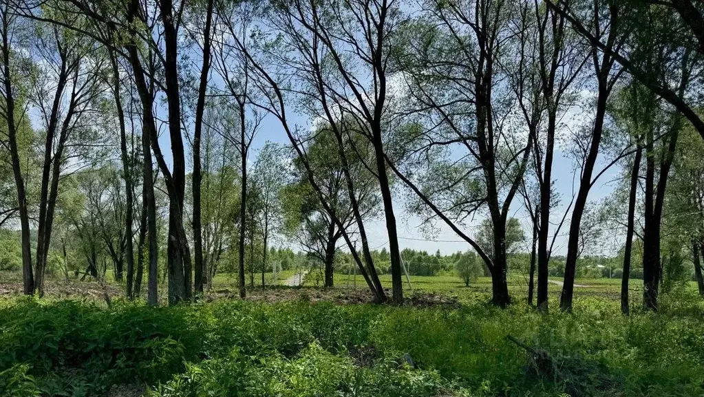 Участок в Московская область, Серпухов городской округ, д. Игнатьево, ... - Фото 1