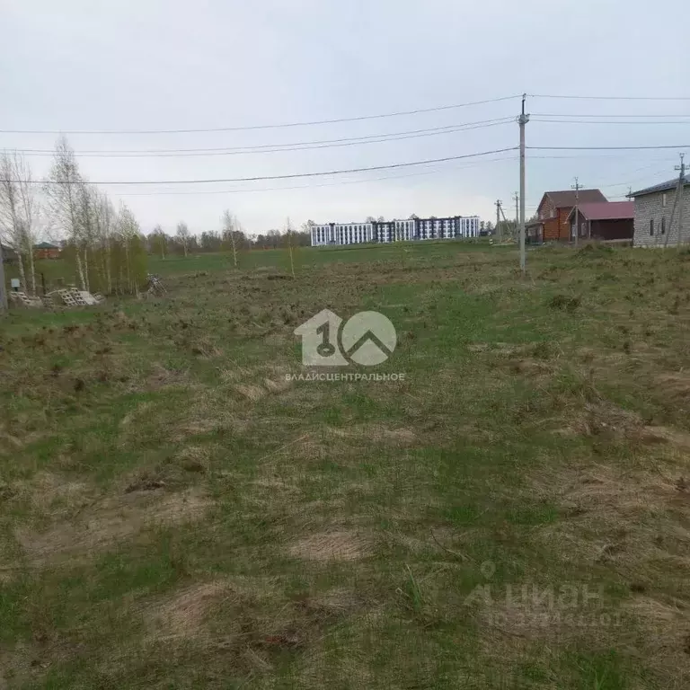 Участок в Новосибирская область, Новосибирский район, Станционный ... - Фото 1