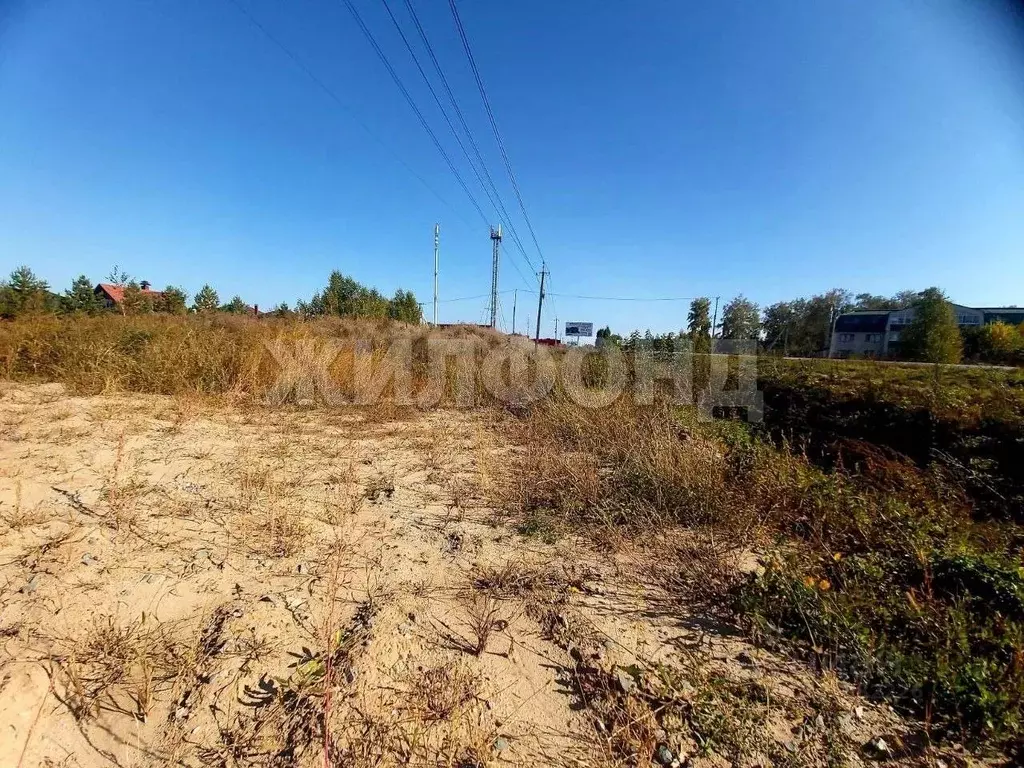 Участок в Новосибирская область, Новосибирский район, Морской ... - Фото 2