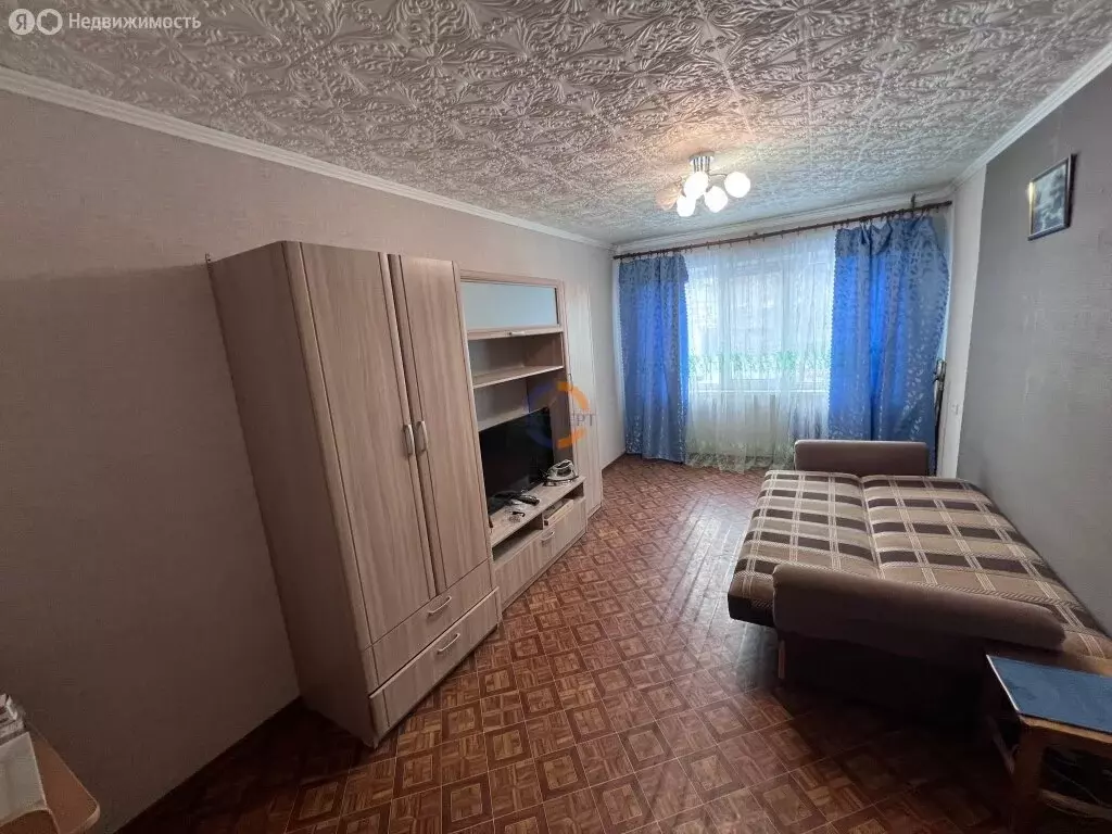 1-комнатная квартира: деревня Подберезье, Новгородская улица, 3А (30 ... - Фото 1