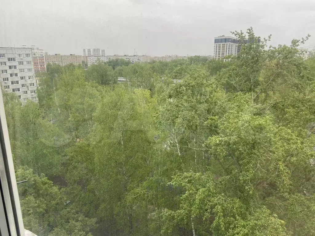 2-к. квартира, 51 м, 9/9 эт. - Фото 1