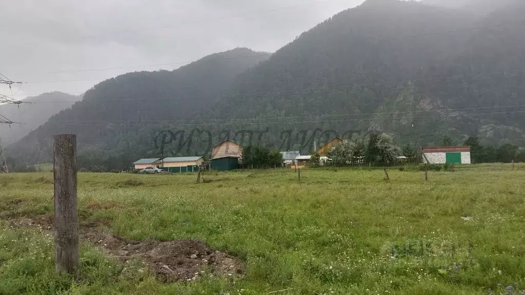 Участок в Алтай, Чемальский район, с. Чемал Молодежная ул. (7.5 сот.) - Фото 1