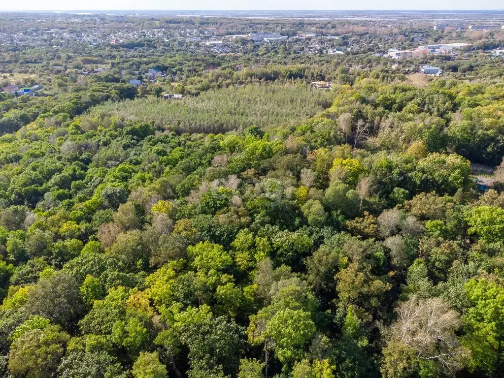 Участок в Хабаровский край, Хабаровск Яблоневая ул. (10.9 сот.) - Фото 1