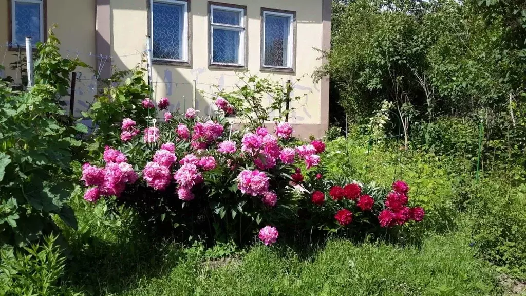 Дом в Нижегородская область, Нижний Новгород городской округ, д. ... - Фото 1
