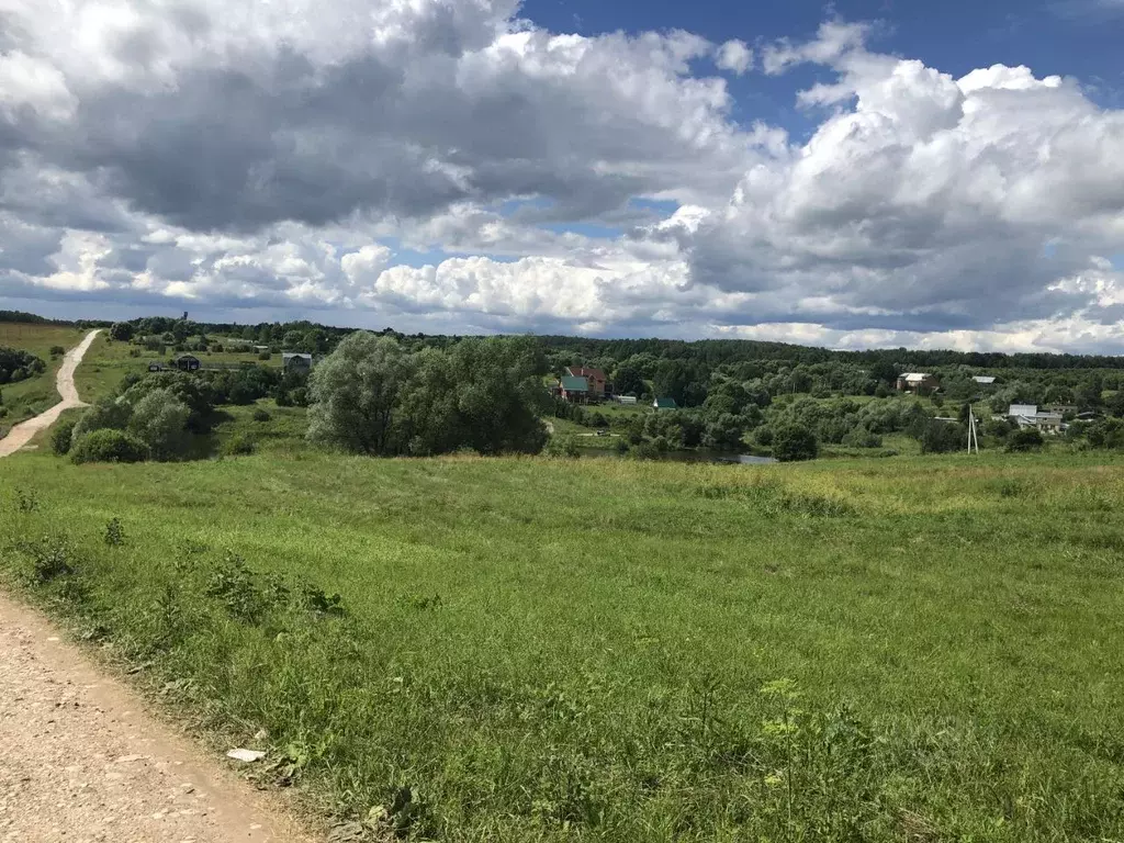 Участок в Тульская область, Алексин городской округ, с. Сотино  (5.54 ... - Фото 0