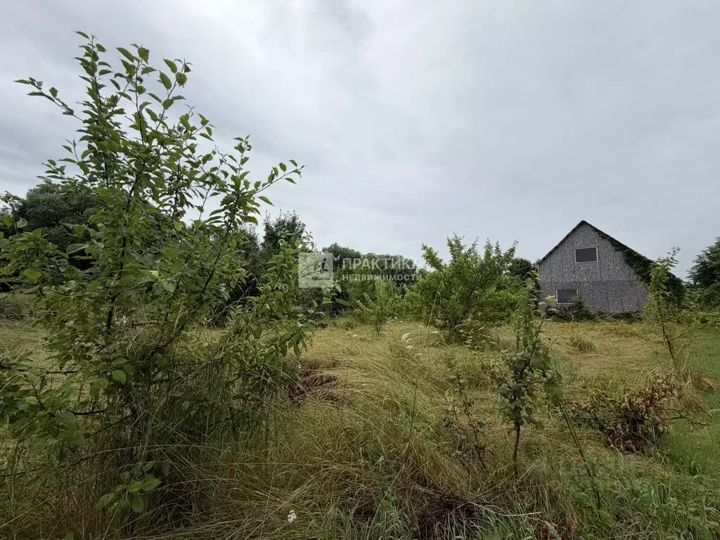 Участок в Московская область, Коломна городской округ, д. Жиливо  ... - Фото 2