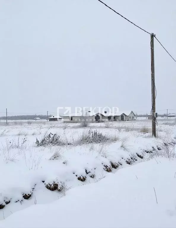 Участок в Костромская область, Кострома Первый кп, проезд Калязинский ... - Фото 2