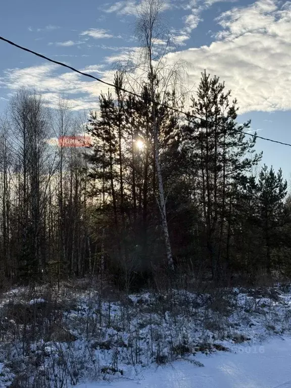 Участок в Рязанская область, Спасский муниципальный округ, с. Ярустово ... - Фото 2