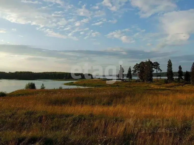 Участок в Костромская область, Костромской район, Самсоновское с/пос, ... - Фото 1