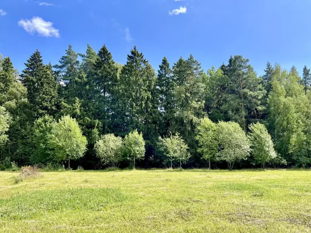 Участок в Московская область, Мытищи городской округ, д. Степаньково ... - Фото 1