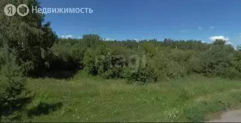 Участок в Тогучин, Рабочая улица (12 м) - Фото 2