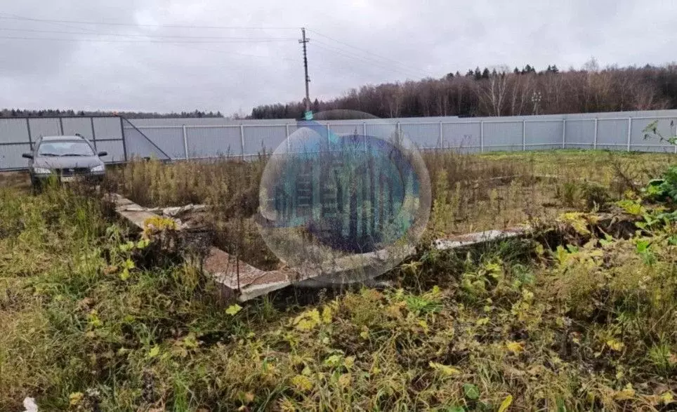 Участок в Московская область, Пушкинский городской округ, д. ... - Фото 1