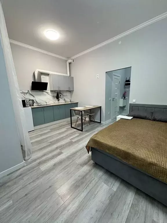 Студия Ленинградская область, Кудрово г. Всеволожский район, Заневское ... - Фото 2