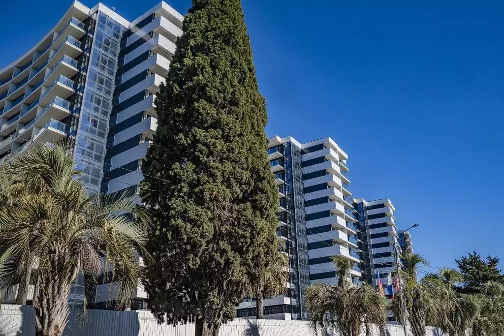 1-к кв. Краснодарский край, Сочи ул. Просвещения, 32 (44.6 м) - Фото 2