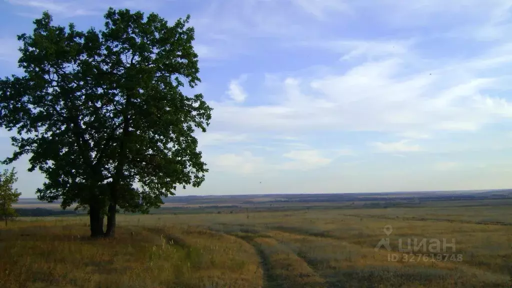 Дом в Воронежская область, Новохоперский район, Коленовское с/пос, с. ... - Фото 2