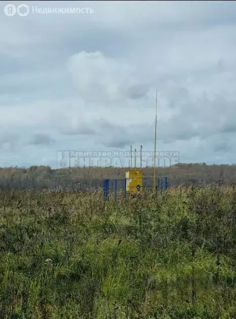 Участок в Смоленский муниципальный округ, деревня Терехи (2.9 м) - Фото 1