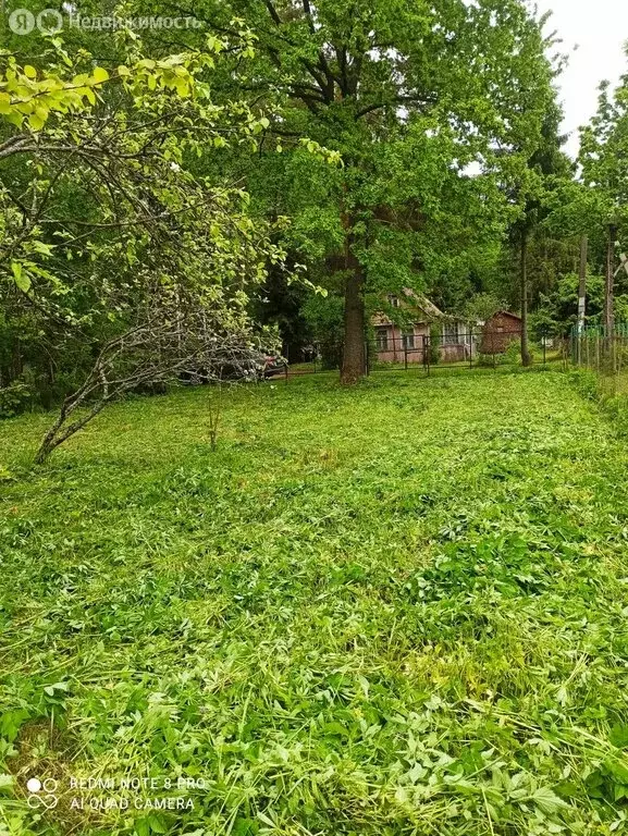 Участок в Мгинское городское поселение, садоводческий массив Апраксин, ... - Фото 1