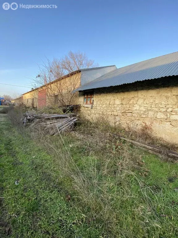 Склад (371 м) - Фото 2