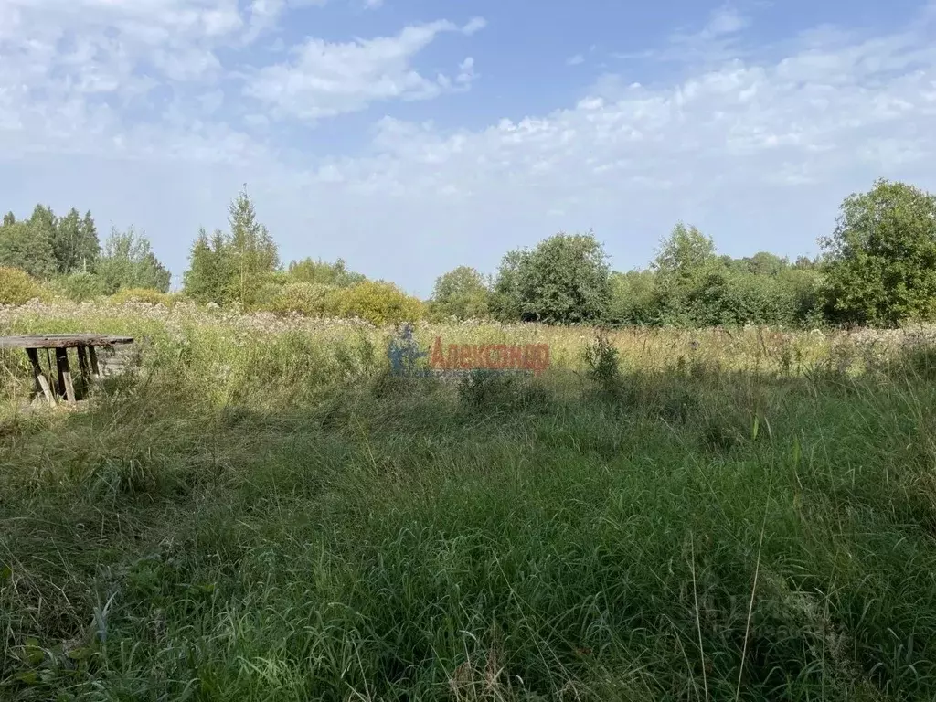 Участок в Ленинградская область, Приозерский район, Ларионовское ... - Фото 1