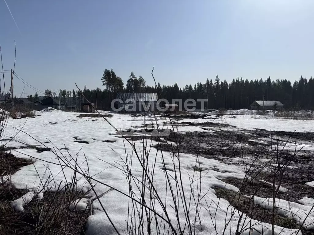 Участок в Свердловская область, Ревда ул. Дубравная, 81 (9.77 сот.) - Фото 1