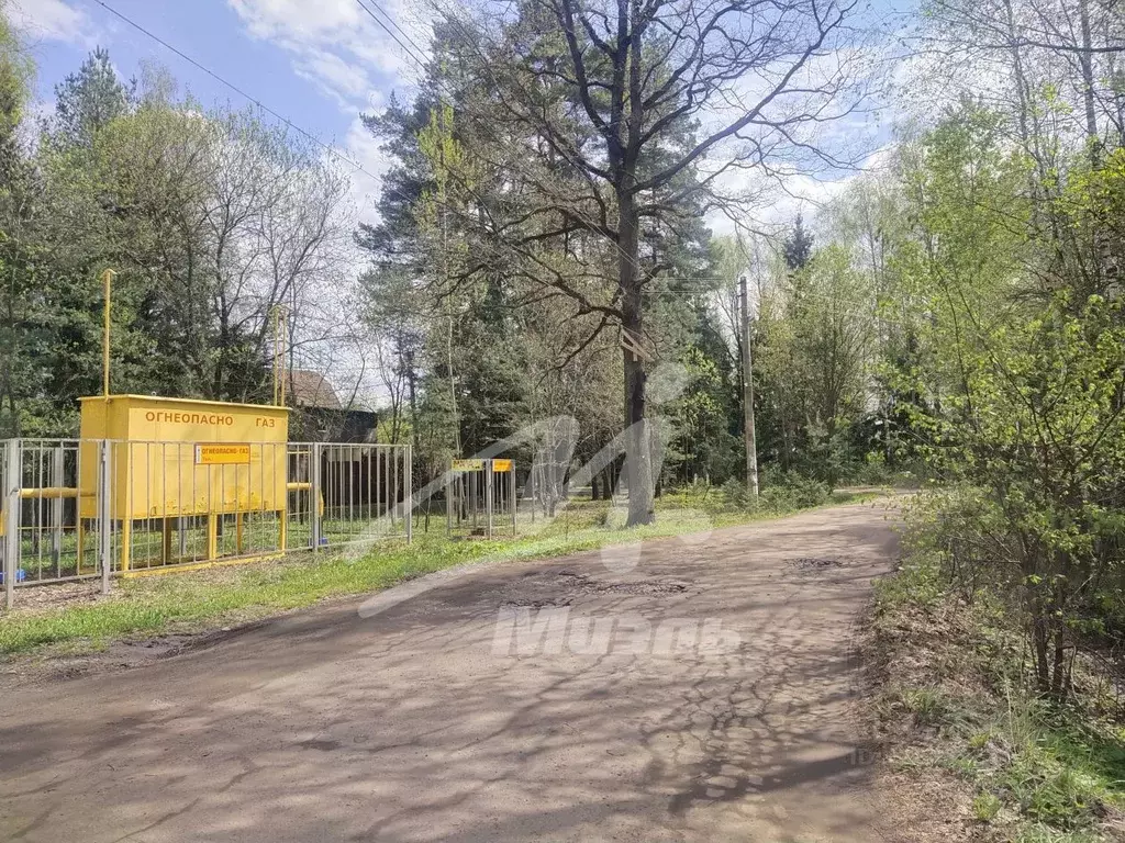 Участок в Московская область, Богородский городской округ, Богатырь ... - Фото 2