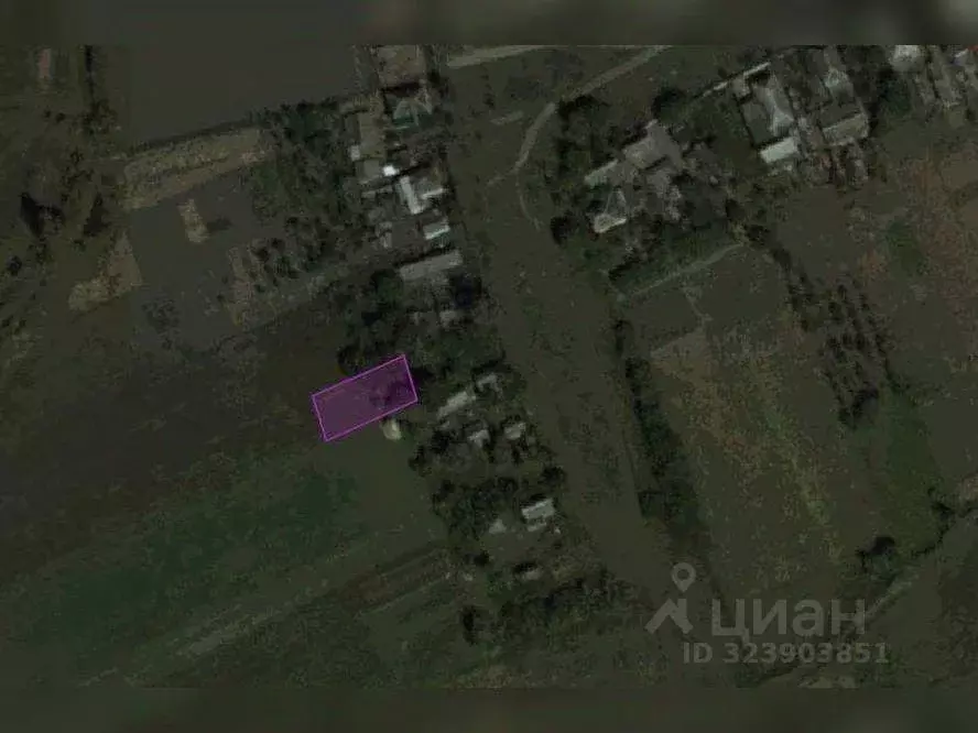 Участок в Краснодарский край, Тихорецкий район, Новорождественское ... - Фото 2