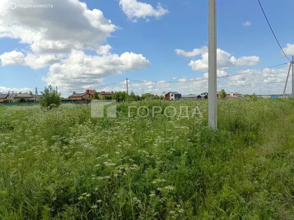 Участок в Дмитровский городской округ, деревня Благовещенское (25.11 ... - Фото 0