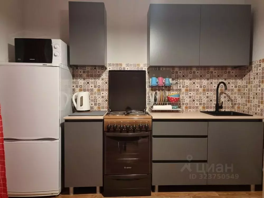 1-к кв. Санкт-Петербург дор. Кушелевская, 3к4 (35.6 м) - Фото 2