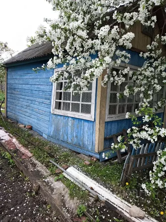 Дом в Омская область, Омск Нефтяник СНТ,  (15 м) - Фото 0