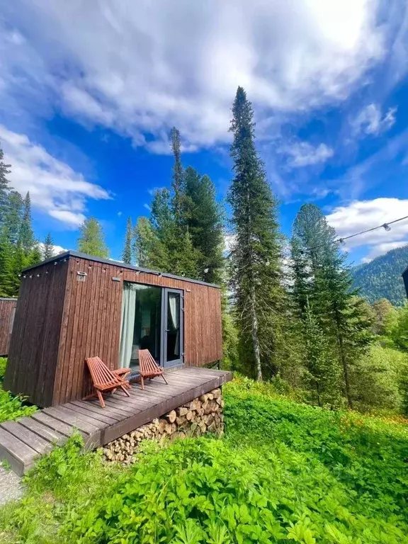 Дом в Алтай, Турочакский район, с. Артыбаш Телецкая ул., 100 (32 м) - Фото 0