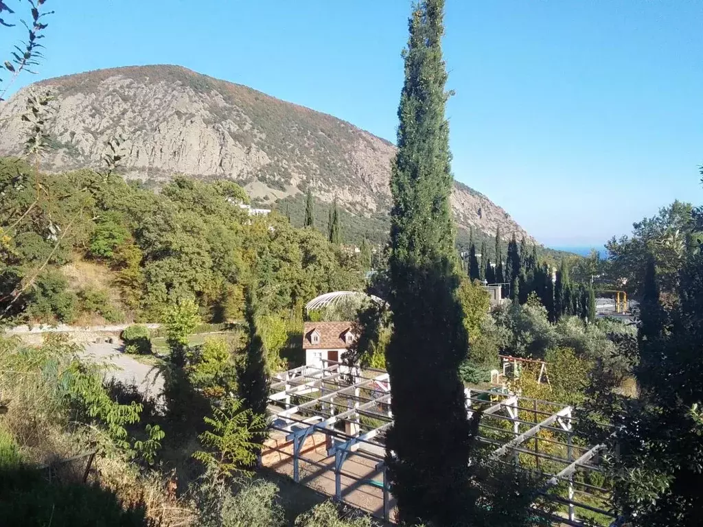 Участок в Крым, Ялта муниципальный округ, Гурзуф пгт ул. ... - Фото 1