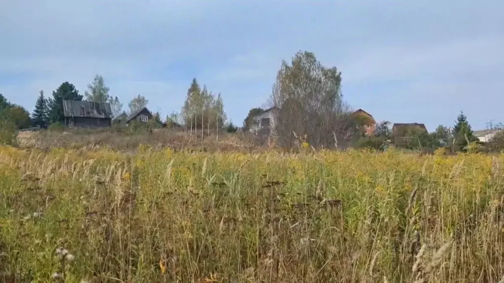 Участок в Московская область, Щелково городской округ, д. Глазуны  ... - Фото 0