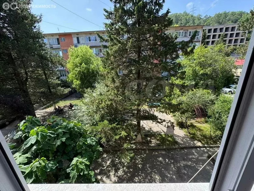 1-комнатная квартира: Дагомыс, Армавирская улица, 116 (16 м) - Фото 1